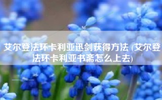 艾尔登法环卡利亚迅剑获得方法 (艾尔登法环卡利亚书斋怎么上去)