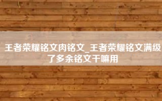 王者荣耀铭文肉铭文_王者荣耀铭文满级了多余铭文干嘛用