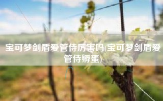 宝可梦剑盾爱管侍厉害吗(宝可梦剑盾爱管侍孵蛋)