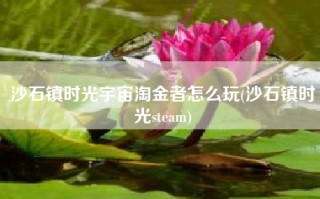 沙石镇时光宇宙淘金者怎么玩(沙石镇时光steam)