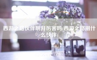 西游之路伙伴明月厉害吗(西游之路用什么伙伴)