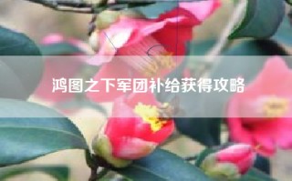 鸿图之下军团补给获得攻略