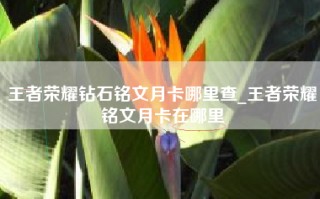 王者荣耀钻石铭文月卡哪里查_王者荣耀铭文月卡在哪里