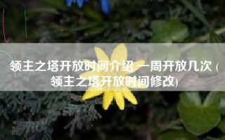 领主之塔开放时间介绍 一周开放几次 (领主之塔开放时间修改)