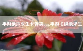 手游绝地求生卡弹夹bug,手游《绝地求生