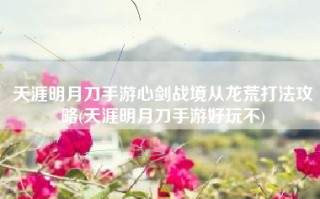 天涯明月刀手游心剑战境从龙荒打法攻略(天涯明月刀手游好玩不)