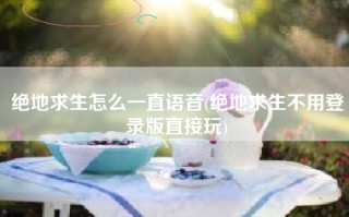绝地求生怎么一直语音(绝地求生不用登录版直接玩)
