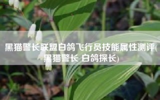 黑猫警长联盟白鸽飞行员技能属性测评(黑猫警长 白鸽探长)