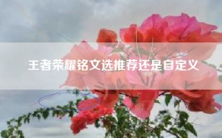 王者荣耀铭文选推荐还是自定义