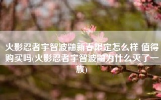 火影忍者宇智波鼬新春限定怎么样 值得购买吗(火影忍者宇智波鼬为什么灭了一族)