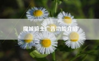魔城骑士广告功能介绍