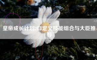 皇帝成长计划2自定义技能组合与大臣推荐
