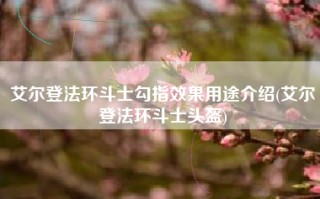 艾尔登法环斗士勾指效果用途介绍(艾尔登法环斗士头盔)