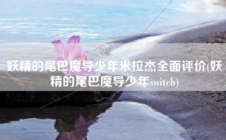 妖精的尾巴魔导少年米拉杰全面评价(妖精的尾巴魔导少年switch)