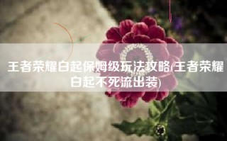 王者荣耀白起保姆级玩法攻略(王者荣耀白起不死流出装)