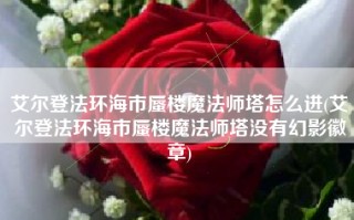 艾尔登法环海市蜃楼魔法师塔怎么进(艾尔登法环海市蜃楼魔法师塔没有幻影徽章)