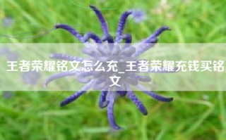 王者荣耀铭文怎么充_王者荣耀充钱买铭文