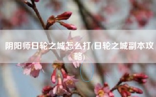 阴阳师日轮之城怎么打(日轮之城副本攻略)