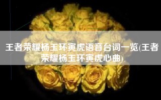 王者荣耀杨玉环寅虎语音台词一览(王者荣耀杨玉环寅虎心曲)