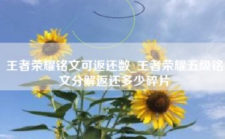 王者荣耀铭文可返还数_王者荣耀五级铭文分解返还多少碎片