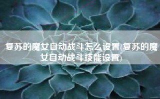 复苏的魔女自动战斗怎么设置(复苏的魔女自动战斗技能设置)