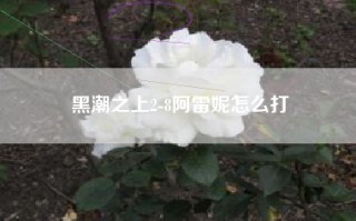 黑潮之上2-8阿雷妮怎么打