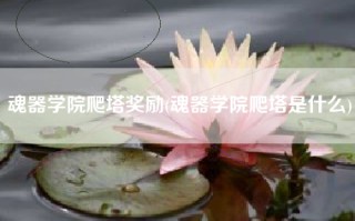 魂器学院爬塔奖励(魂器学院爬塔是什么)