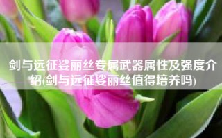剑与远征娑丽丝专属武器属性及强度介绍(剑与远征娑丽丝值得培养吗)