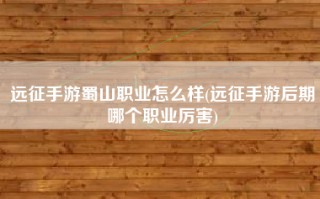 远征手游蜀山职业怎么样(远征手游后期哪个职业厉害)