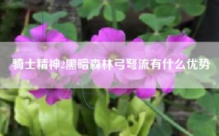 骑士精神2黑暗森林弓弩流有什么优势