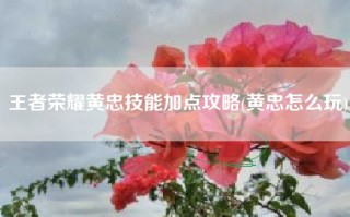 王者荣耀黄忠技能加点攻略(黄忠怎么玩)
