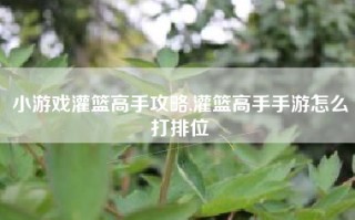 小游戏灌篮高手攻略,灌篮高手手游怎么打排位