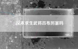 汉末求生武将吕布厉害吗