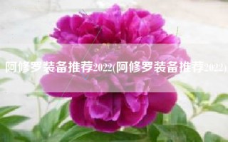 阿修罗装备推荐2022(阿修罗装备推荐2022)