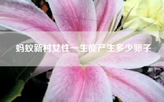 蚂蚁新村女性一生能产生多少卵子