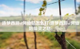 造梦西游ol何仙姑怎么打(造梦西游ol何仙姑仙灵之怒)