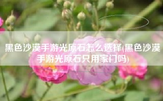 黑色沙漠手游光原石怎么选择(黑色沙漠手游光原石只用家门吗)