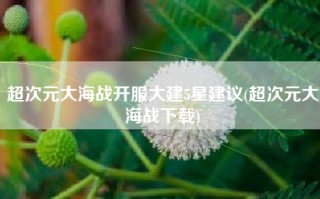 超次元大海战开服大建5星建议(超次元大海战下载)