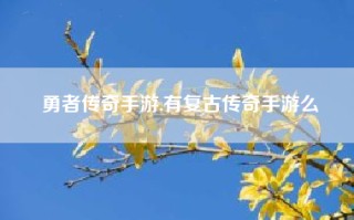 勇者传奇手游,有复古传奇手游么