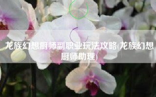 龙族幻想厨师副职业玩法攻略(龙族幻想厨师助理)