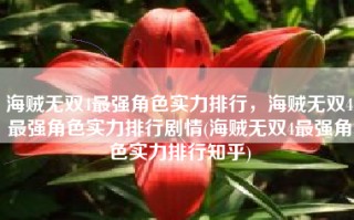 海贼无双4最强角色实力排行，海贼无双4最强角色实力排行剧情(海贼无双4最强角色实力排行知乎)