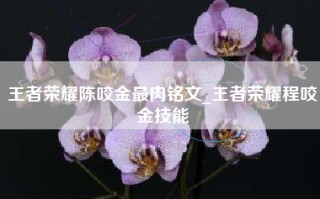 王者荣耀陈咬金最肉铭文_王者荣耀程咬金技能