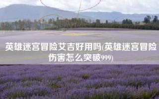 英雄迷宫冒险艾吉好用吗(英雄迷宫冒险伤害怎么突破999)