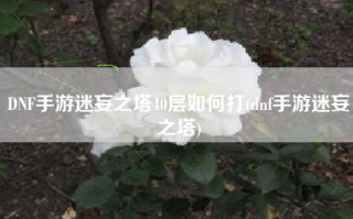 DNF手游迷妄之塔40层如何打(dnf手游迷妄之塔)
