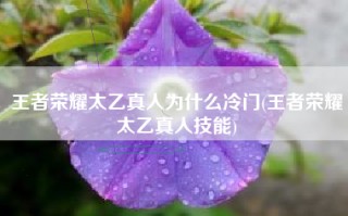 王者荣耀太乙真人为什么冷门(王者荣耀太乙真人技能)