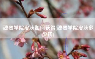 魂器学院皮肤如何获得(魂器学院皮肤多少钱)