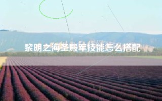 黎明之海圣殿军技能怎么搭配
