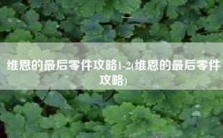 维恩的最后零件攻略1-2(维恩的最后零件攻略)