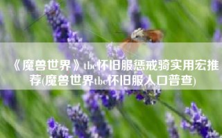 《魔兽世界》tbc怀旧服惩戒骑实用宏推荐(魔兽世界tbc怀旧服人口普查)