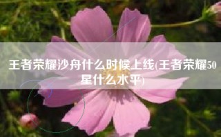 王者荣耀沙舟什么时候上线(王者荣耀50星什么水平)
